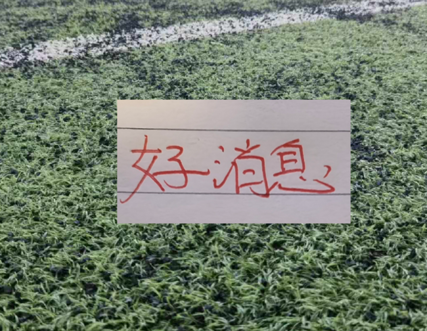德容:日本队的低位防守非常出色,我们将全力备战对瑞典的比赛