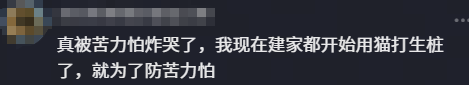 因球迷反对放弃奥莫特后续!山东男篮官宣签约波多黎各后卫阿方索