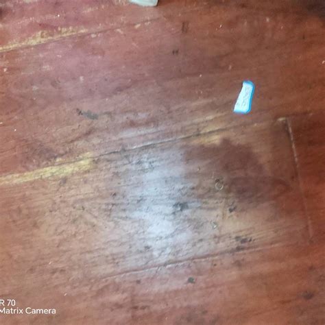 完美体育 可持续材料运动装备